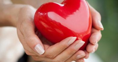 Этапы восстановления сердечно-сосудистой системы